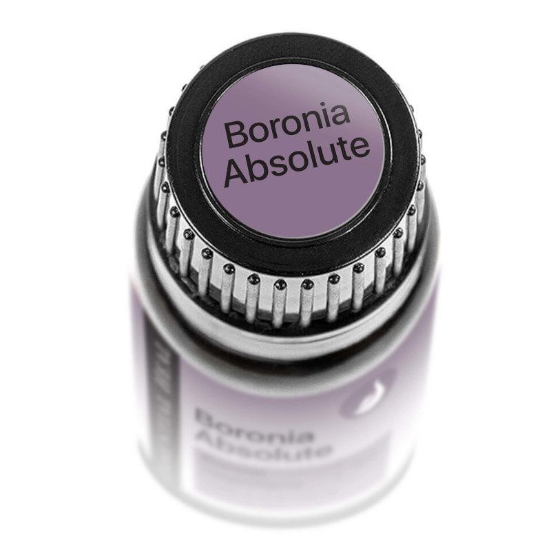 Boronia Absolute - Borónia Abszolút